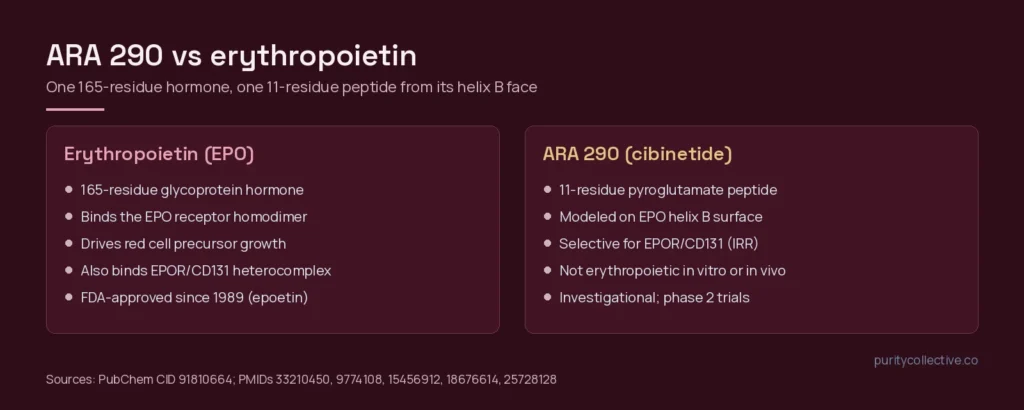 Side-by-side comparison of erythropoietin, a 165-residue glycoprotein acting at the EPO receptor homodimer, and ARA 290, an 11-residue helix B peptide selective for the EPOR/CD131 innate repair receptor