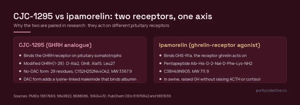 Side-by-side panels comparing CJC-1295, a GHRH analogue, and ipamorelin, a ghrelin-receptor agonist