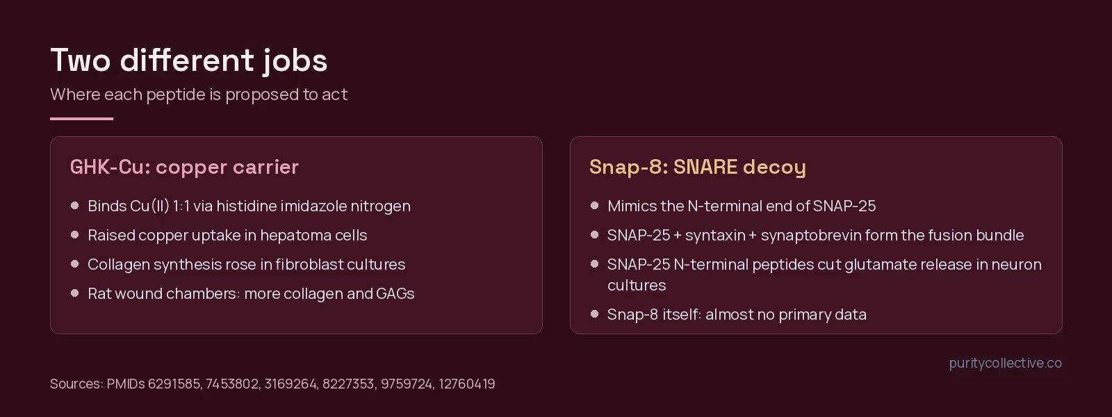 Two-panel diagram: GHK-Cu as a copper-binding tripeptide versus Snap-8 as a SNAP-25-mimicking peptide at the SNARE complex