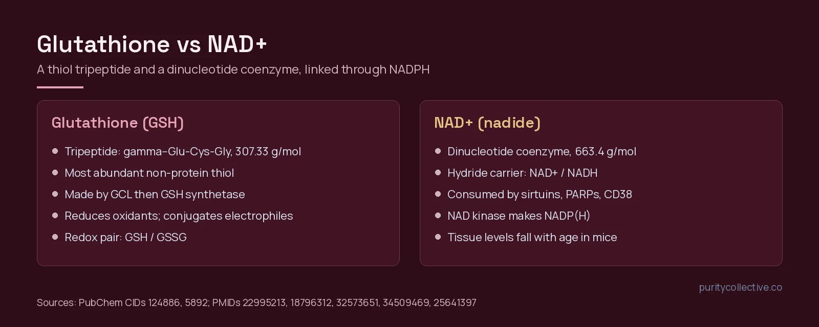 Comparison of glutathione, a 307 g/mol tripeptide thiol with a GSH/GSSG redox pair, and NAD+, a 663 g/mol dinucleotide coenzyme consumed by sirtuins, PARPs and CD38