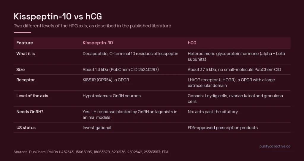 Comparison table of kisspeptin-10 and hCG: structure, size, receptor, level of the HPG axis and US regulatory status