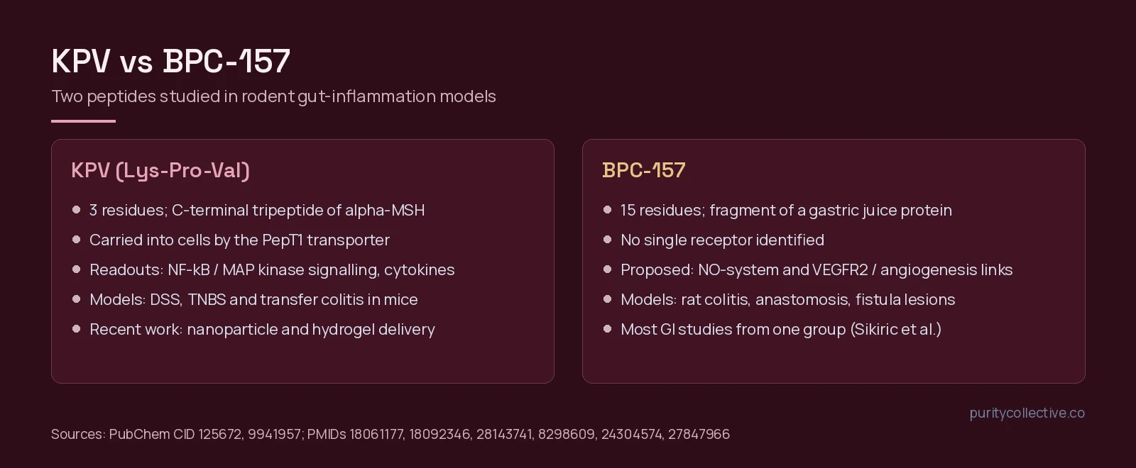 Side-by-side comparison of KPV, a tripeptide transported by PepT1, and BPC-157, a gastric pentadecapeptide studied in rat lesion models