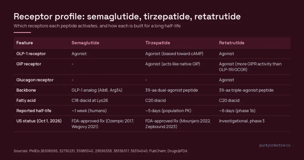 Receptor profile table comparing semaglutide, tirzepatide and retatrutide at the GLP-1, GIP and glucagon receptors, with fatty-acid side chain, half-life and US status