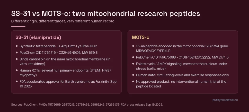 SS-31 vs MOTS-c comparison card: origin, PubChem identity, studied target, human record and regulatory status