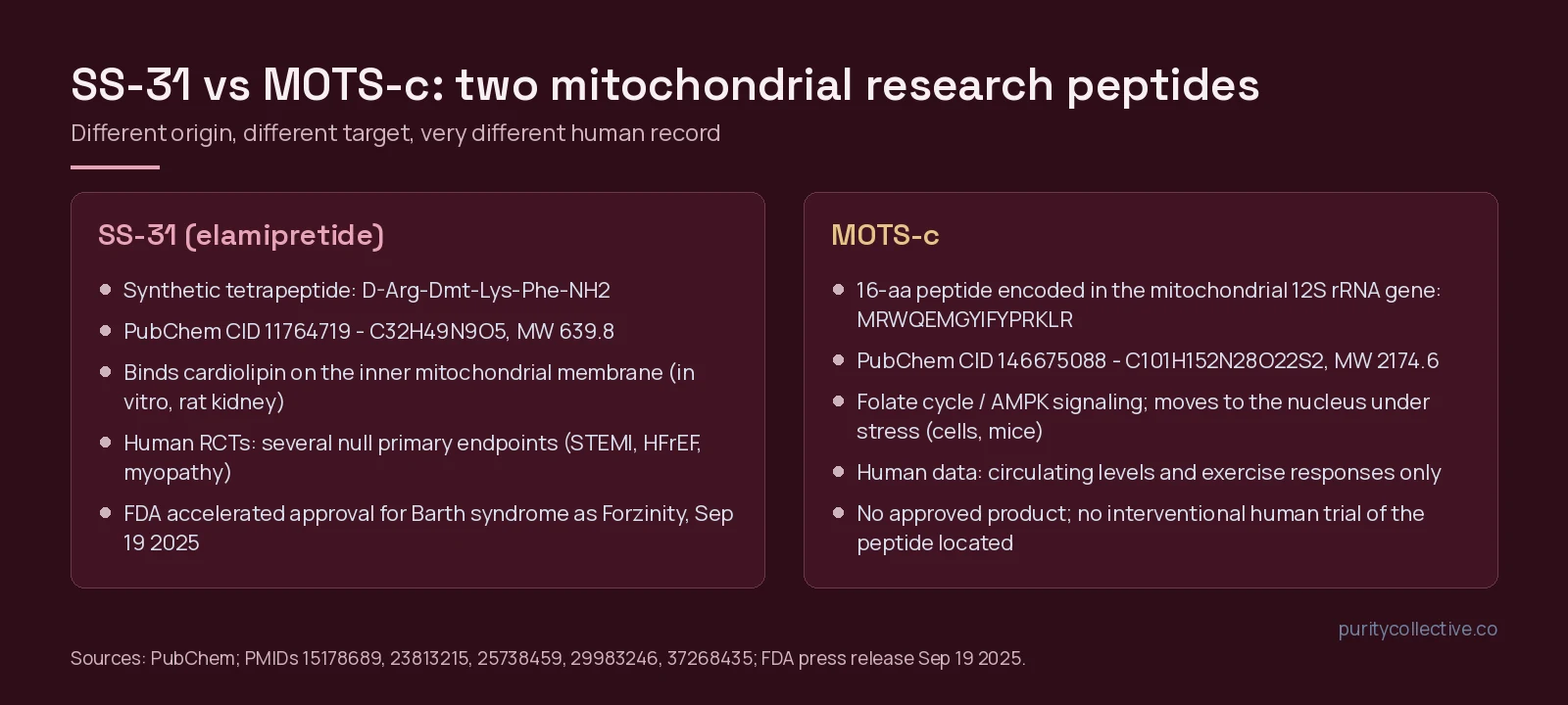 SS-31 vs MOTS-c comparison card: origin, PubChem identity, studied target, human record and regulatory status